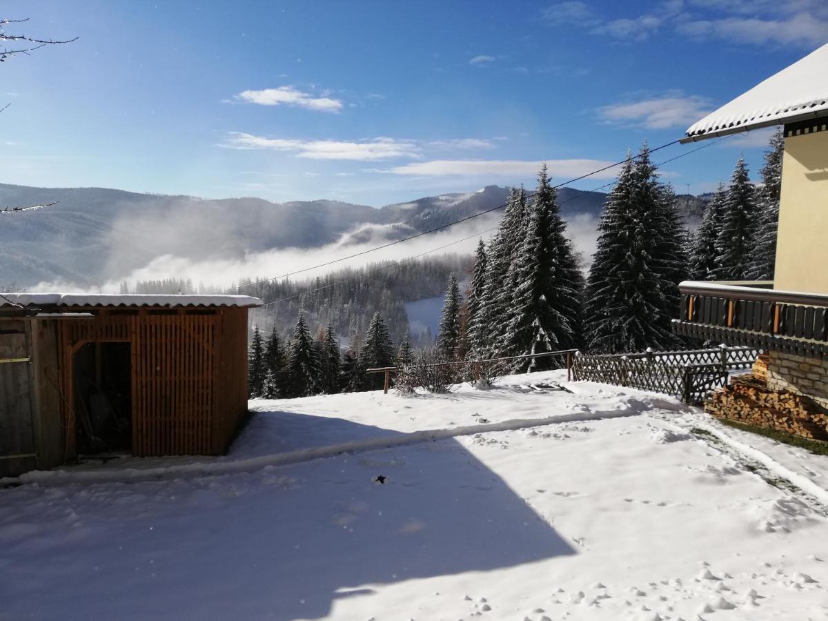 Salla Ferienhaus Stubalpenblick 빌라 외부 사진