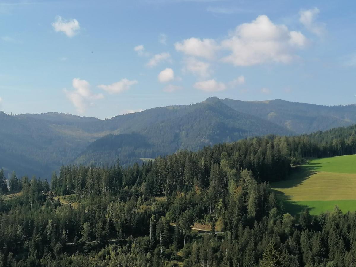 Salla Ferienhaus Stubalpenblick 빌라 외부 사진