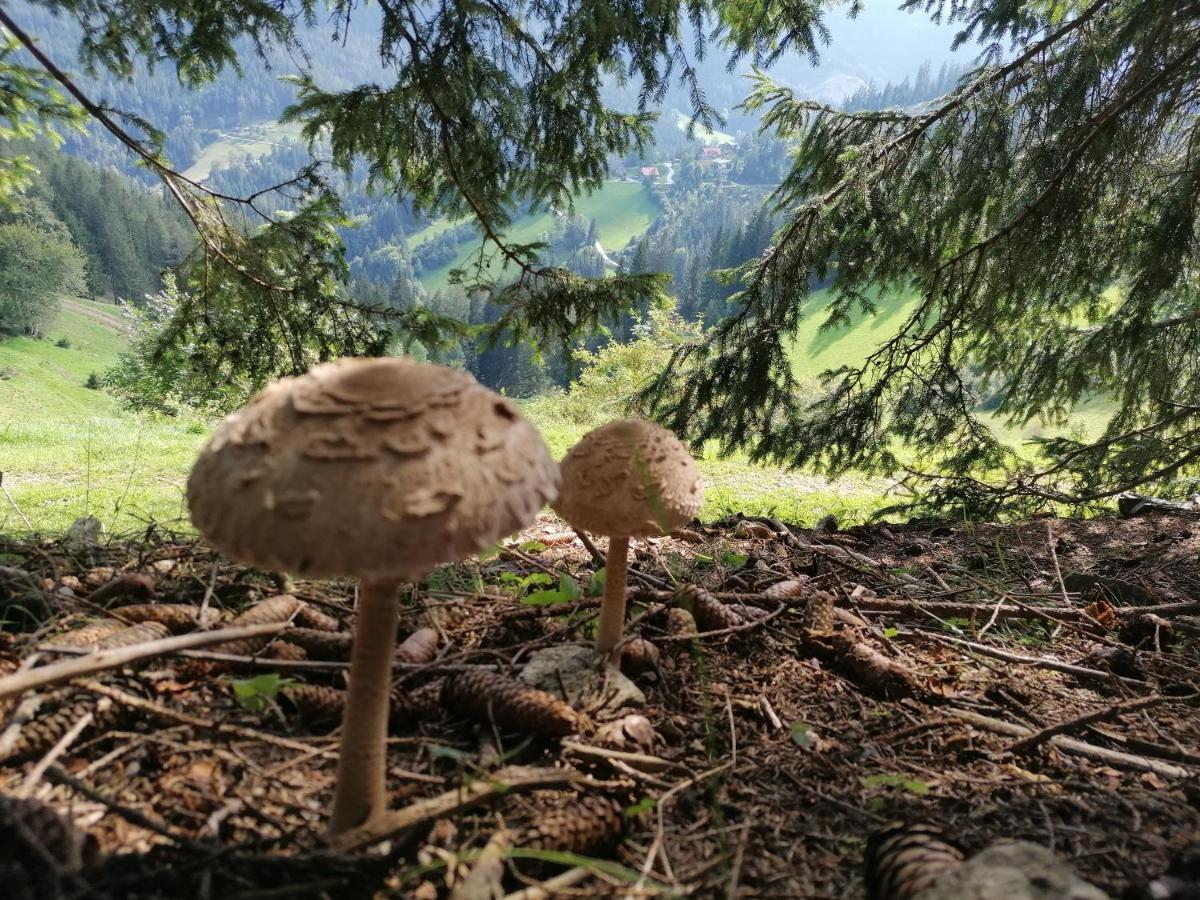 Salla Ferienhaus Stubalpenblick 빌라 외부 사진